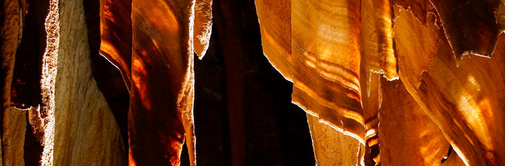 Grotte de la Madeleine