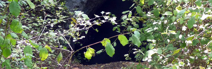 La Fosse de l'Ermitage