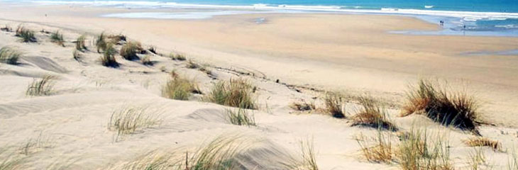 Dunes de l'Ile d'Oléron