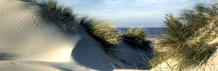 Dunes de l'Ile de Ré