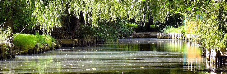 Les Hortillonnages d'Amiens