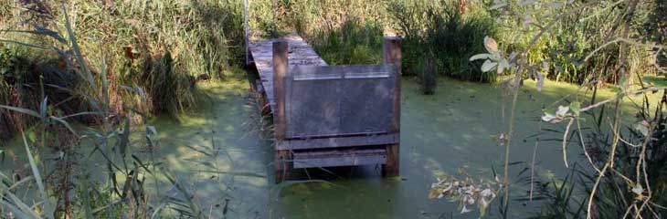 tourbières de Vred