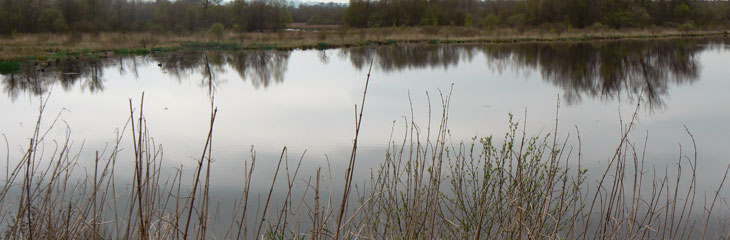 Le Marais du Grand Hazé