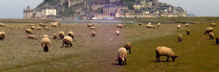 Les Marais Salants