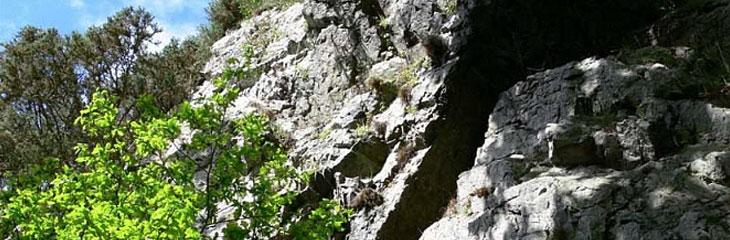 Rocher aux fossiles Vaudobin