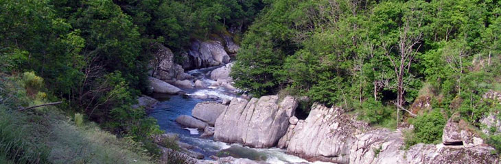 Les gorges de la Dourbie