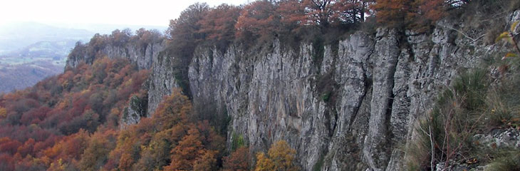 Orgues de bort les orgues