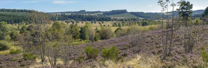 Tourbières de Longéroux
