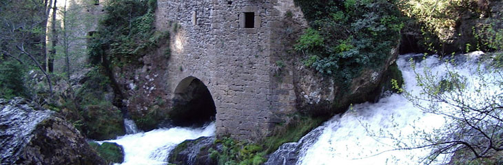 Source de lafoux