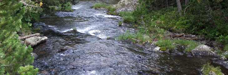 Torrent de la Têt