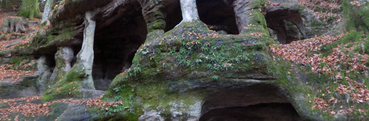 Grotte de l'Ermitage