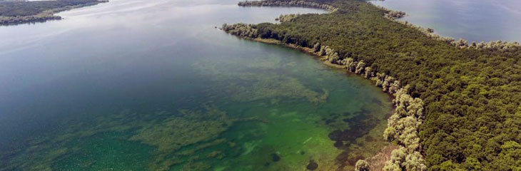 Les grands lacs de la forêt d'Orient