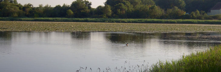 Les Etangs du Grand-Brun