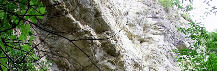 Les Rochers de Courçay