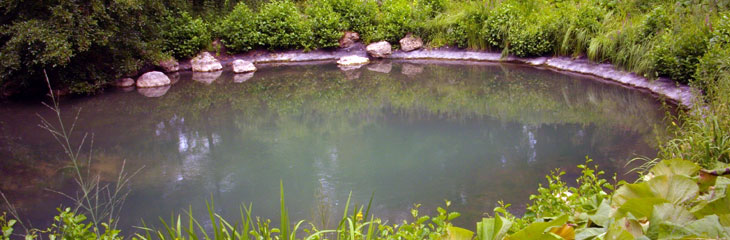 Source du Loiret
