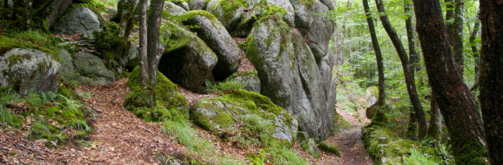 Gorges du Corong