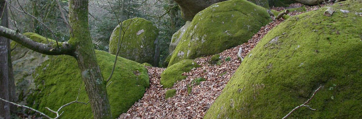 Rochers des Couardes