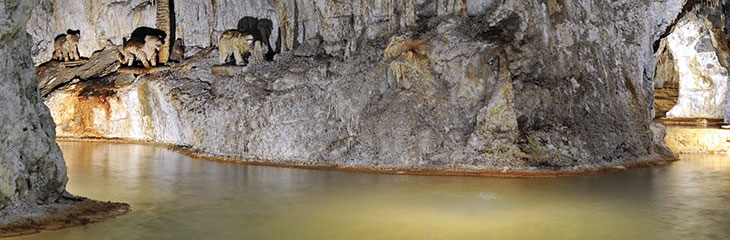 Les Fontaines Pétrifiantes de Saint Nectaire