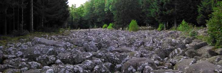 Champ de Roches