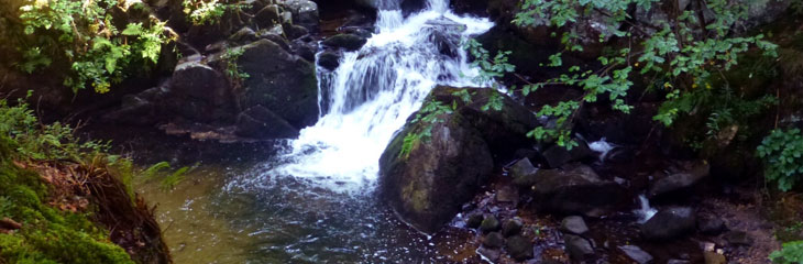 Saut des Cuves