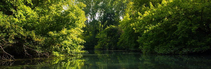 l'Ile du Beurre