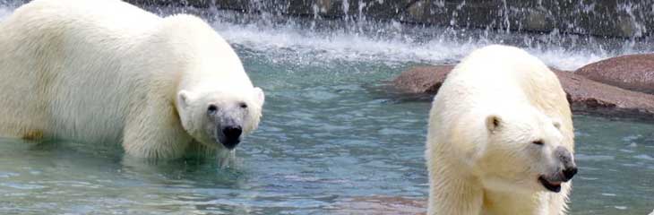 Parc Zoologique et Botanique de Mulhouse