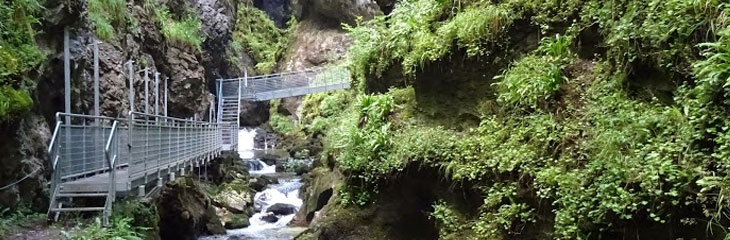 Les Gorges de l'Abîme