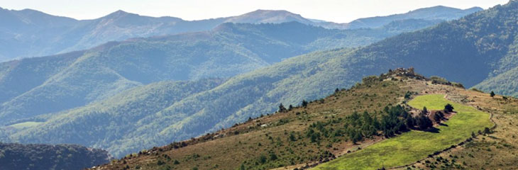 Parc National des Cévennes