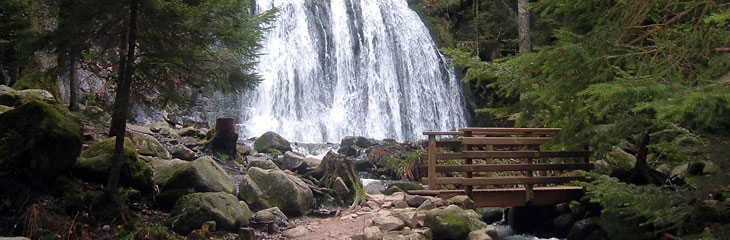 Cascade de la Pissoire (Haut du Tôt - Vosges)