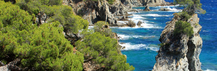 La Presqu'île de Giens
