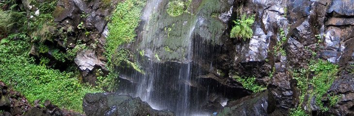 Cascade du Saut du Loup