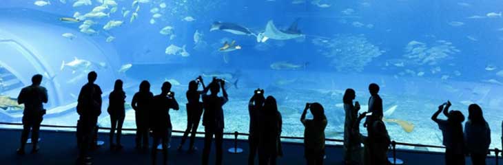 l'Aquarium du Grand Lyon