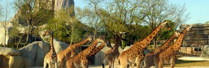 Parc Zoologique de Paris