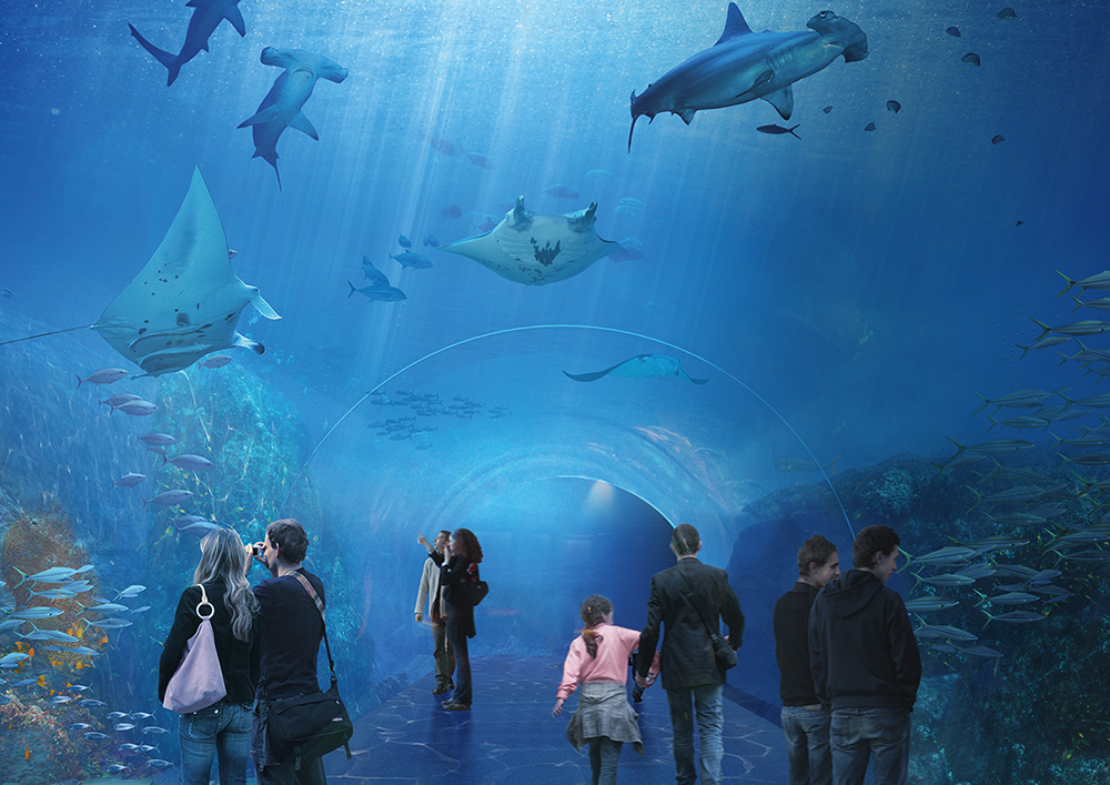 Les 10 plus beaux aquariums de France Notrebellefrance
