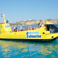 Seascope