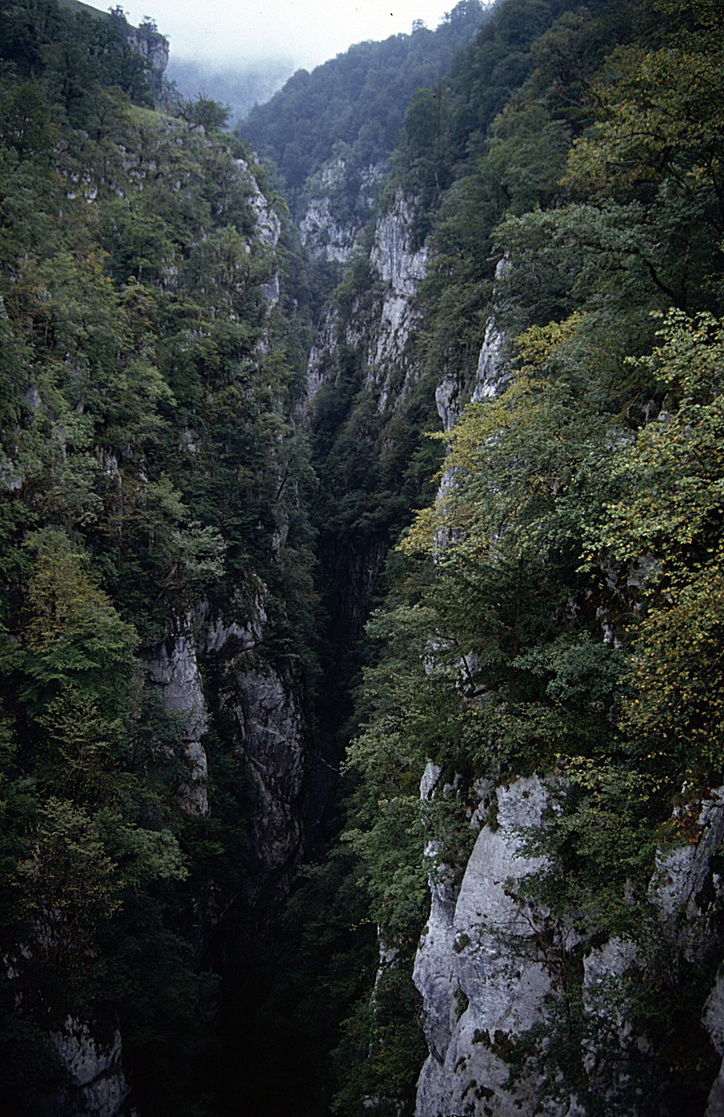 Canyons d'holzarté et d'Olhadubi