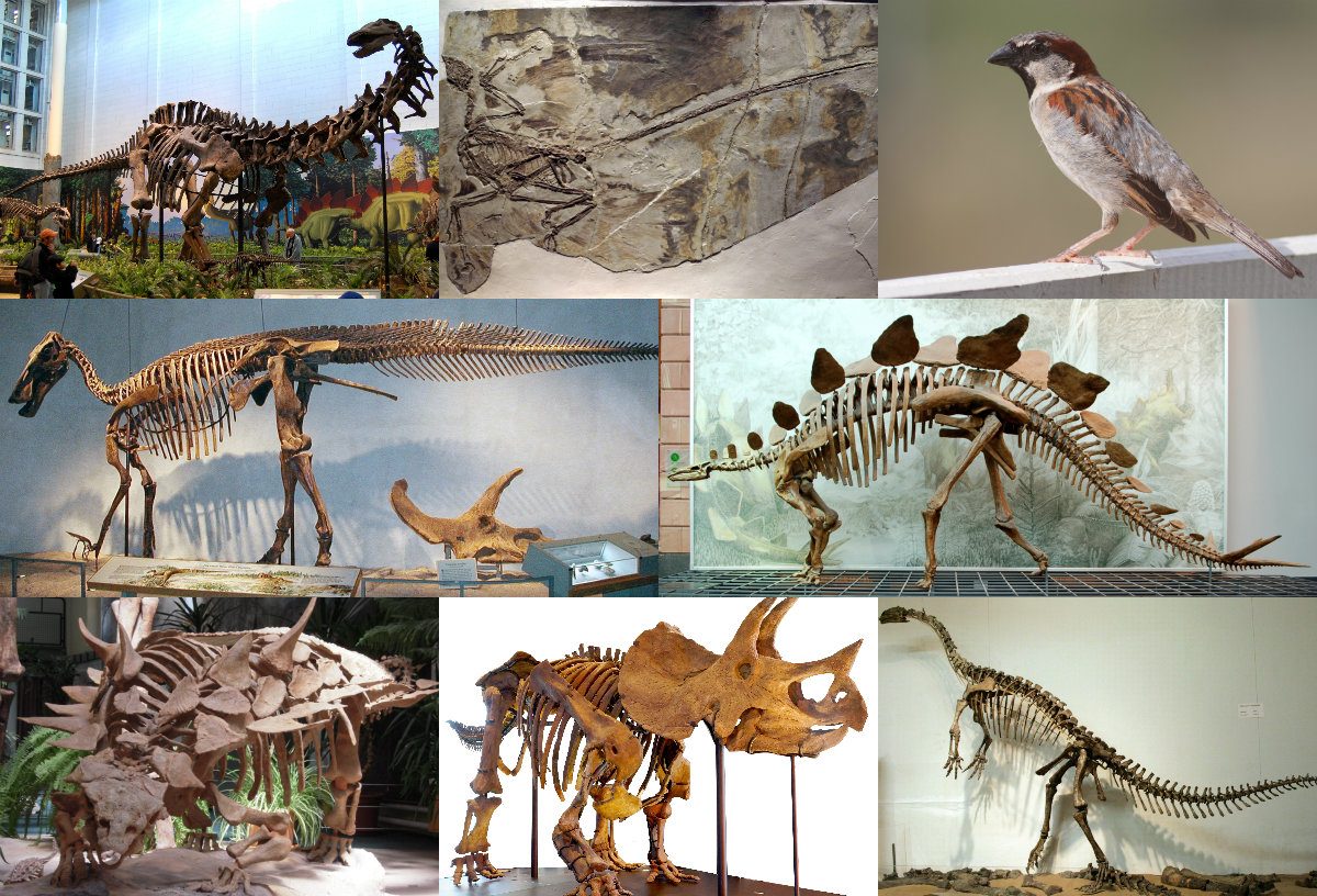 Dinosauria