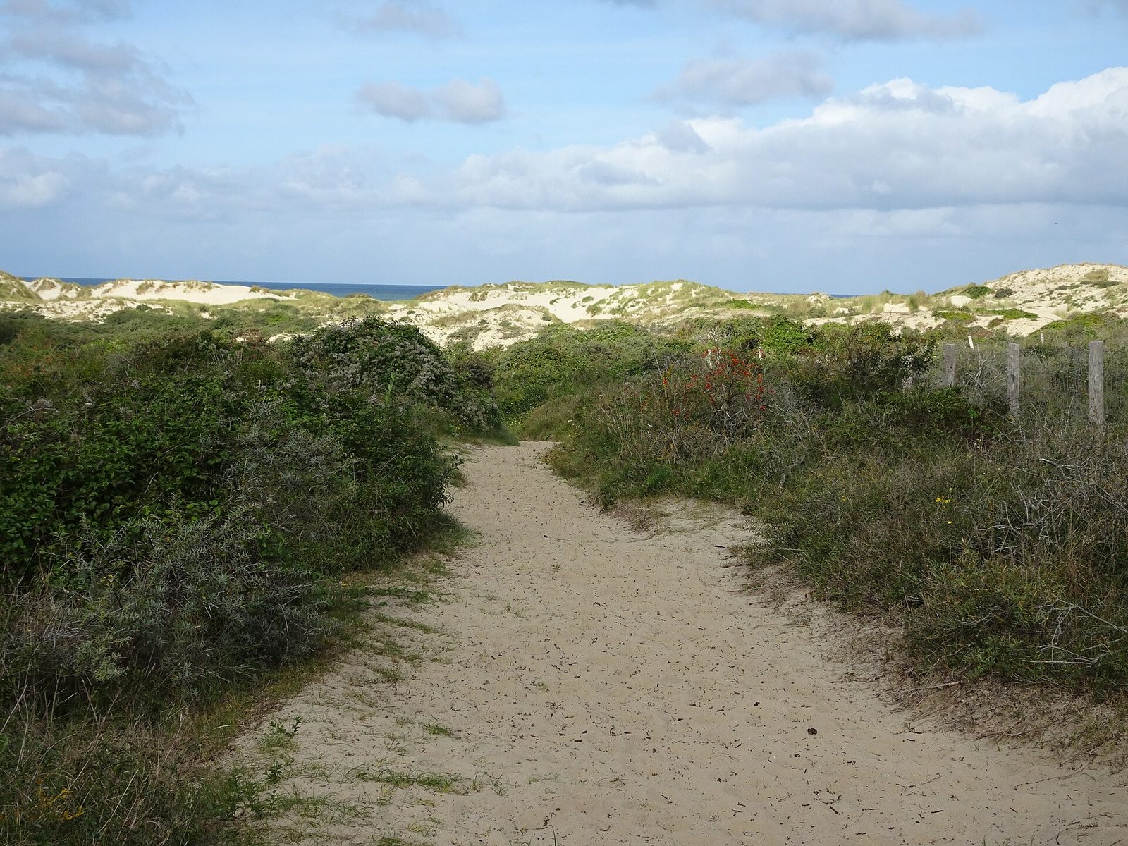 Dunes de Merlimont