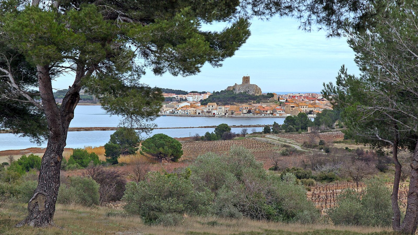 Gruissan