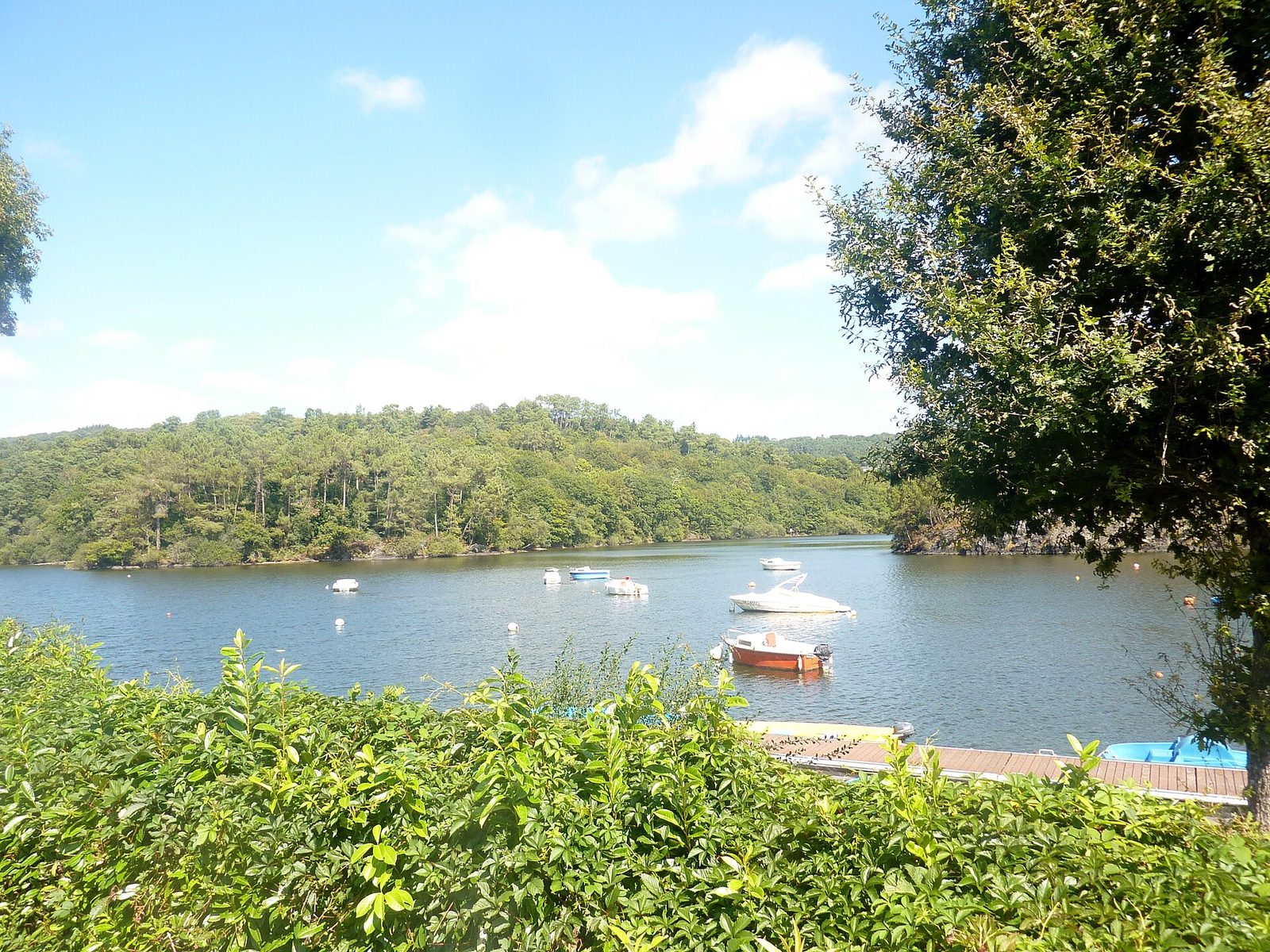 Lac de Guerlédan et Gorges du Daoula