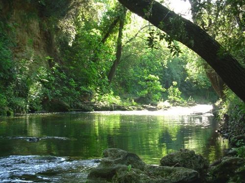 Le Saut du Capelan (Nartuby)