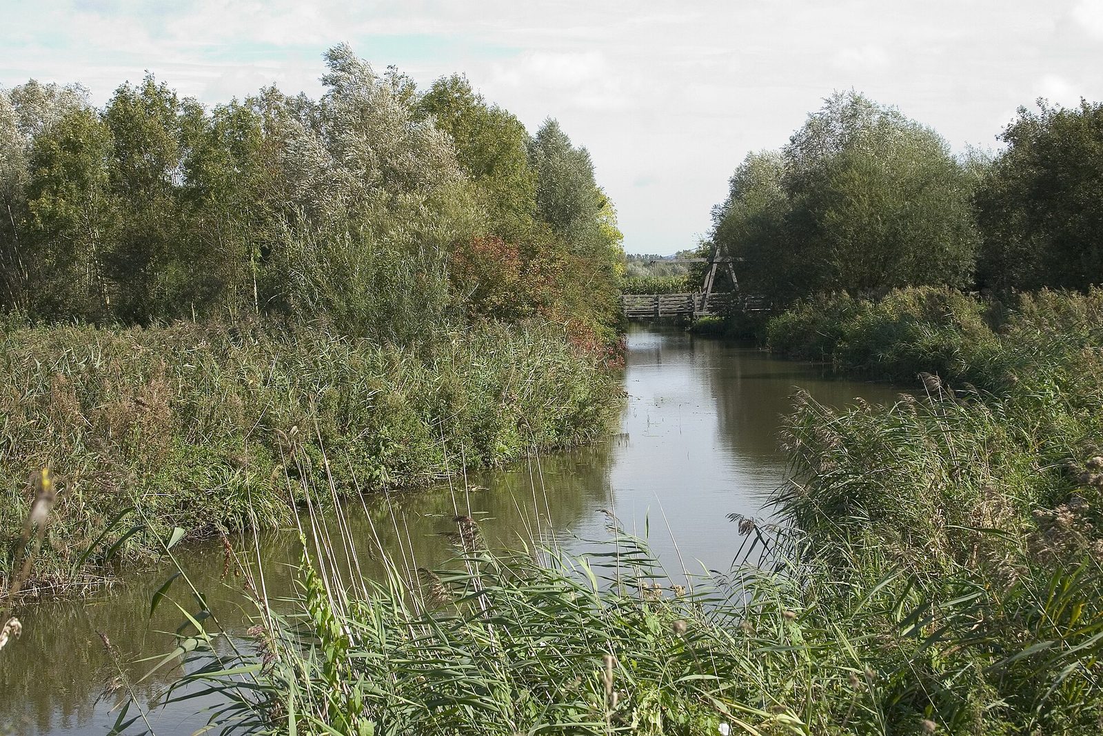 Réserve naturelle du Romelaere