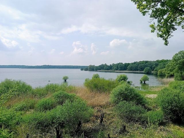 Croisières du Lac d'Orient