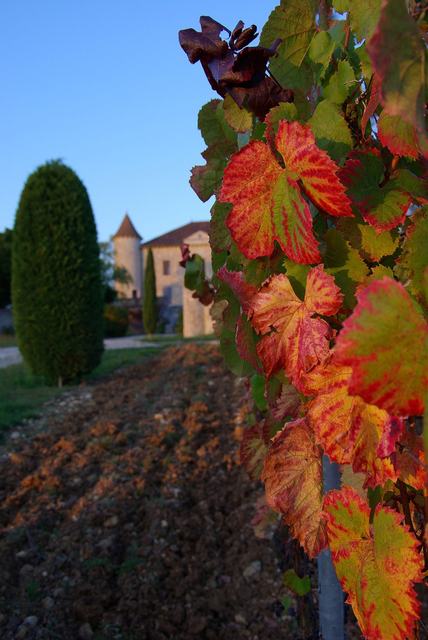 Château de Chambert