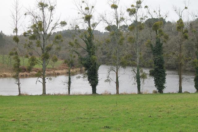 Château de Séréac