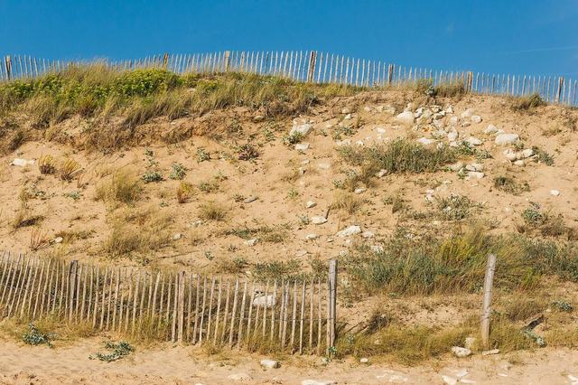 Dunes de l'Ile de Ré