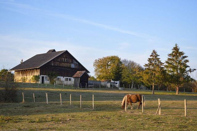 Maisons Comtoises de Nancray
