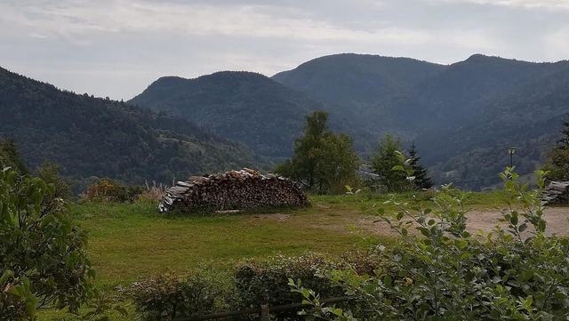 Sources de la Moselle