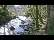 Vidéo des cascades de Gimel