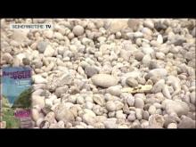 Vidéo du Cap d'Antifer